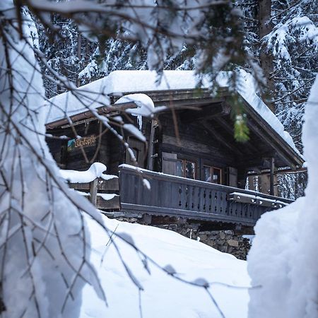 Kitzkopf Huette Villa Mayrhofen Dış mekan fotoğraf